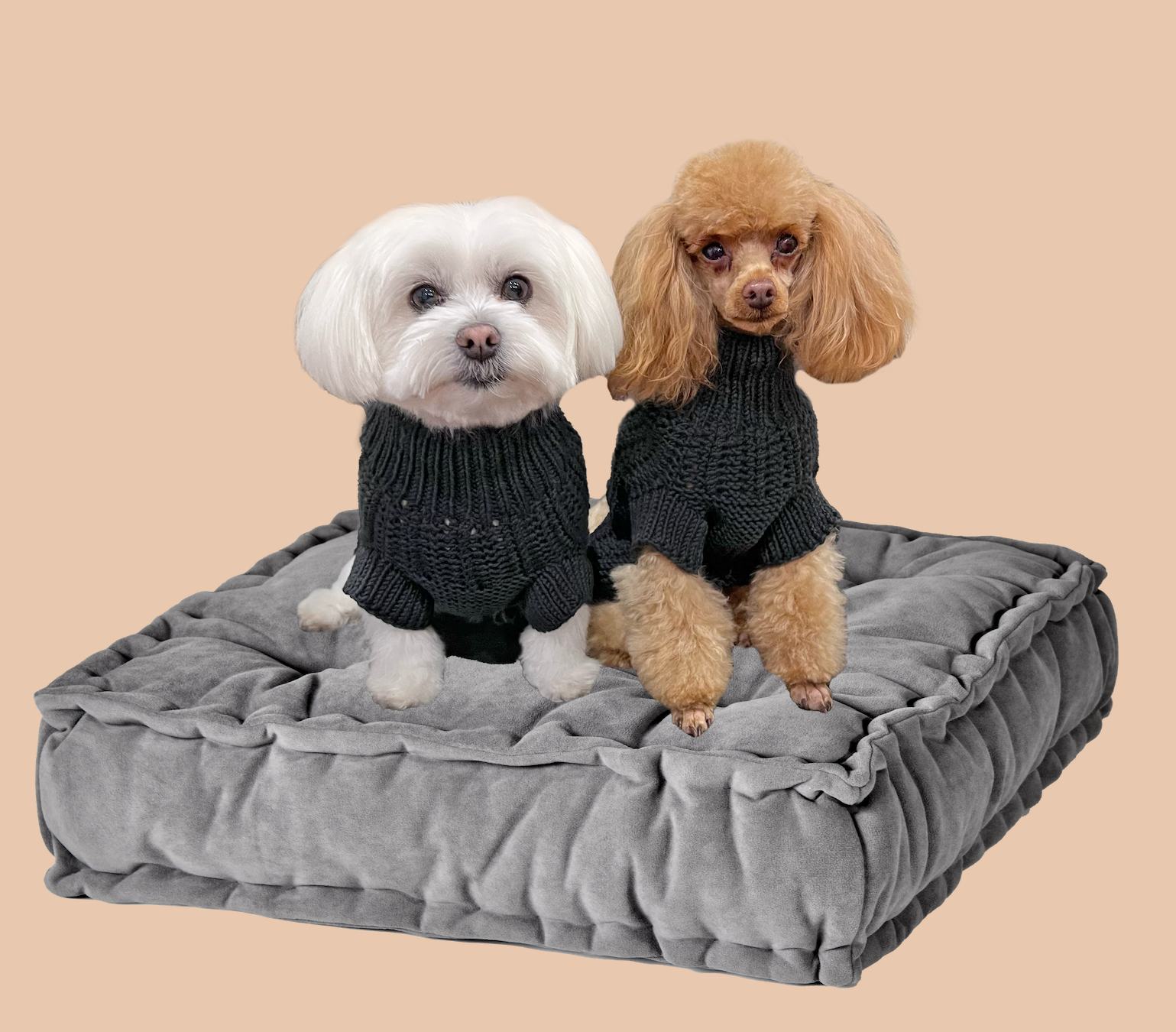 Meet Gigi & Bloom, The Story Behind the Brand